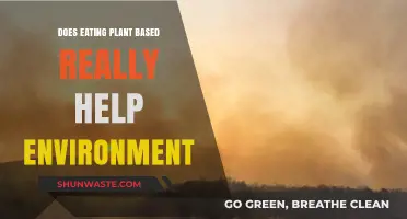 Plant-Based Diets: A Sustainable Solution for Environmental Conservation?