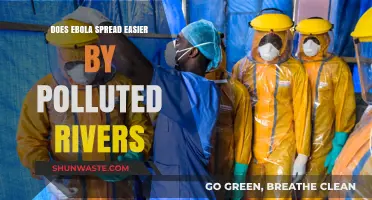 How Does Ebola Spread: Rivers or Human Contact?