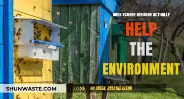 Ecobee BeeSure: A Genuine Eco-Friendly Solution or Greenwashing?