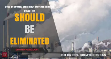Economic Efficiency: Pollution's Necessary Evil?