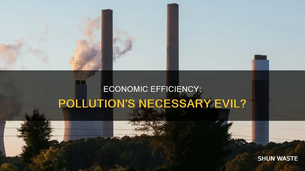 does economic efficiency indicate that all pollution should be eliminated