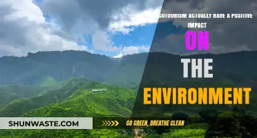 Ecotourism's Environmental Impact: Positive Change or Greenwashed Myth?