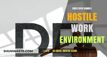 Does the EEOC Address Hostile Work Environments? What You Need to Know