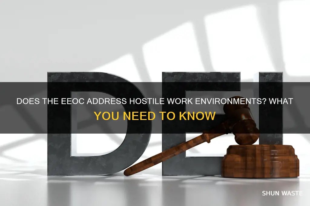 does eeoc handle hostile work environment