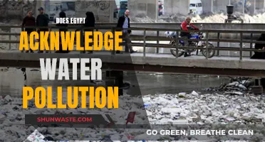 Egypt's Water Crisis: A Nation's Struggle with Pollution