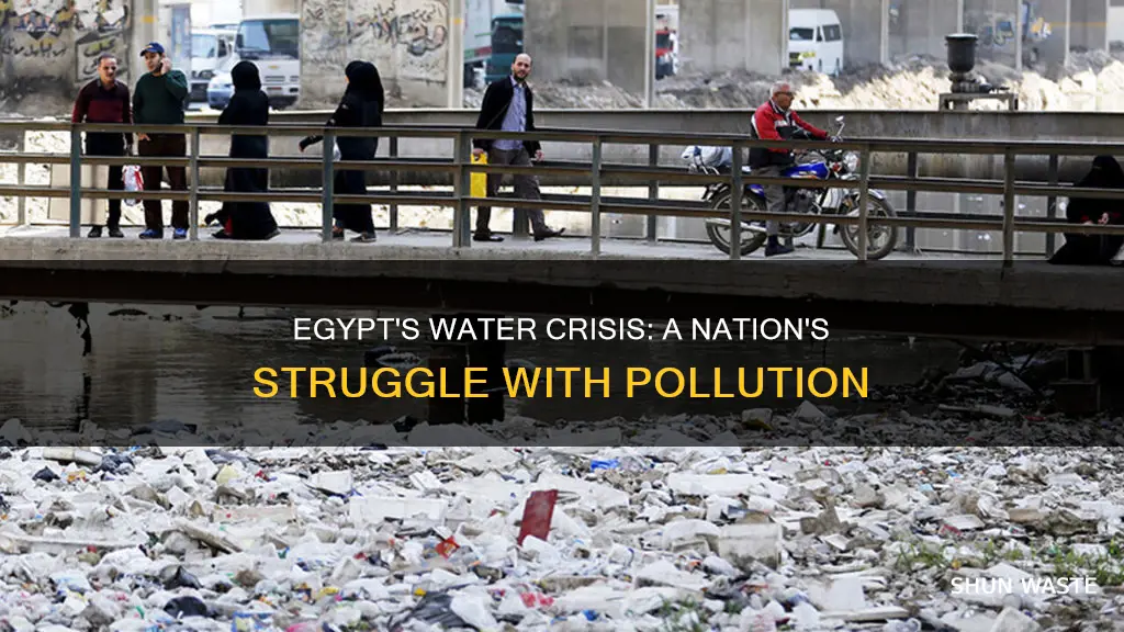 does egypt acknwledge water pollution