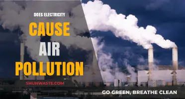 Unveiling the Link: Does Electricity Generation Fuel Air Pollution?