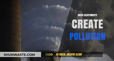 Electricity's Pollution Paradox: Power and Pollution