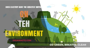 Electricity's Environmental Impact: The Greatest Challenge of Our Time?