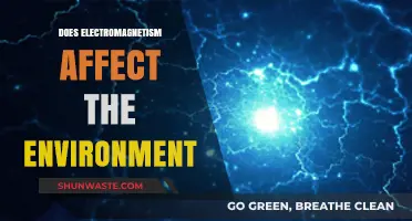 Electromagnetism's Environmental Impact: Unveiling Ecological Effects and Sustainability Concerns