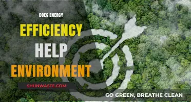 Energy Efficiency: A Powerful Tool for Environmental Protection and Sustainability