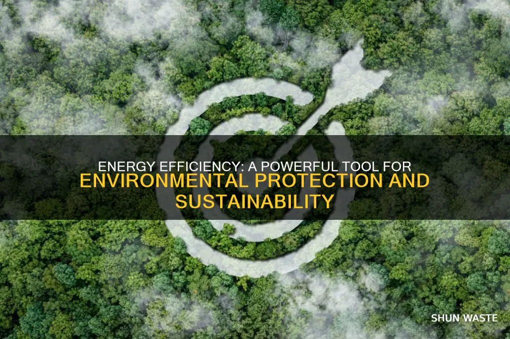 does energy efficiency help environment