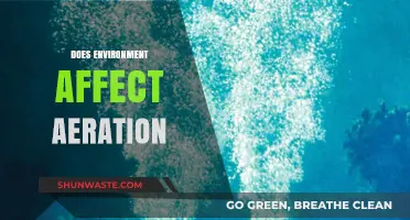 How Environmental Factors Influence Aeration Efficiency: Key Insights Revealed