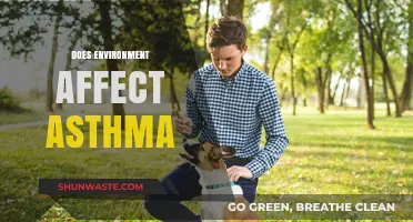 How Environmental Factors Impact Asthma: Triggers and Prevention Tips