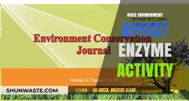 How Environmental Factors Influence Enzyme Activity: Key Insights Revealed