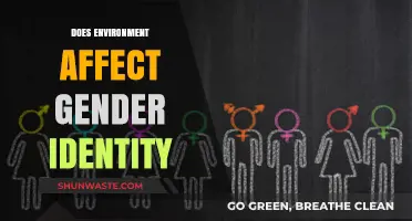 How Surroundings Shape Gender Identity: Exploring Environmental Influences