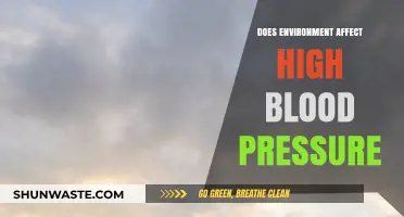 Environmental Factors and Their Impact on High Blood Pressure