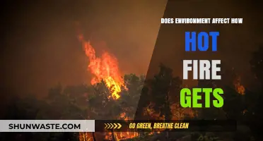 How Environmental Factors Influence Fire Intensity and Heat Levels