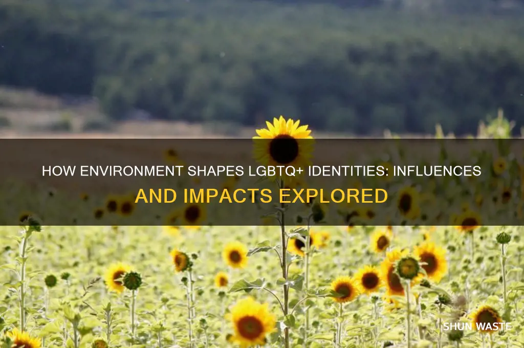 does environment affect if youre lbtq