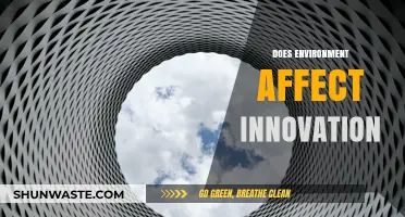How Environmental Factors Shape Innovation: A Comprehensive Exploration