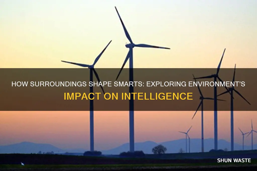 does environment affect intelligence