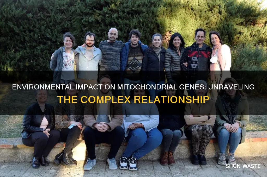 does environment affect mitochondrial gene