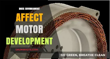 How Environment Shapes Motor Development: Key Factors and Insights