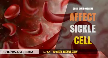 Environmental Factors and Sickle Cell: Uncovering the Impact on Health