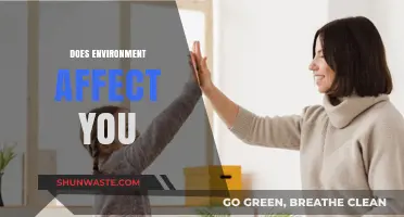 How Your Surroundings Shape Your Mind, Body, and Behavior