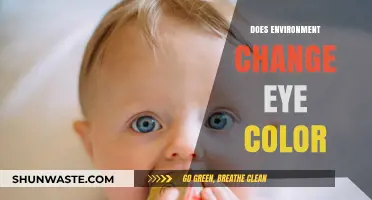 Can Your Surroundings Alter Eye Color? Exploring Environmental Influences