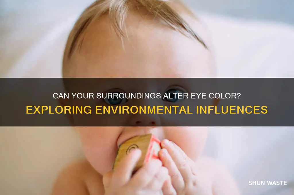 does environment change eye color