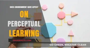How Environmental Factors Shape Perceptual Learning: Insights and Implications