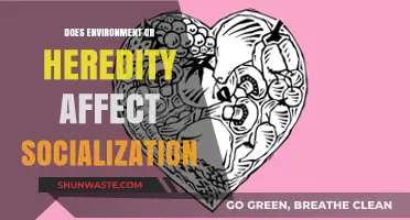 Environment vs. Heredity: Unraveling Their Impact on Socialization Dynamics