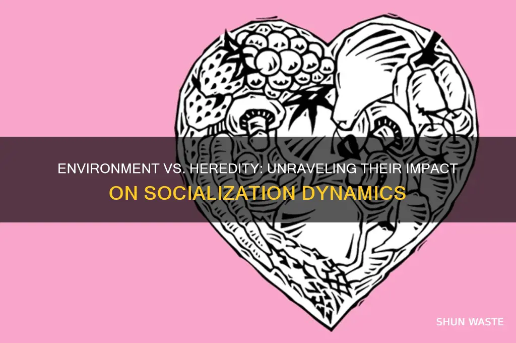 does environment or heredity affect socialization