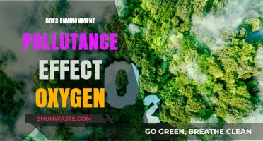 How Pollution Impacts Our Oxygen Supply