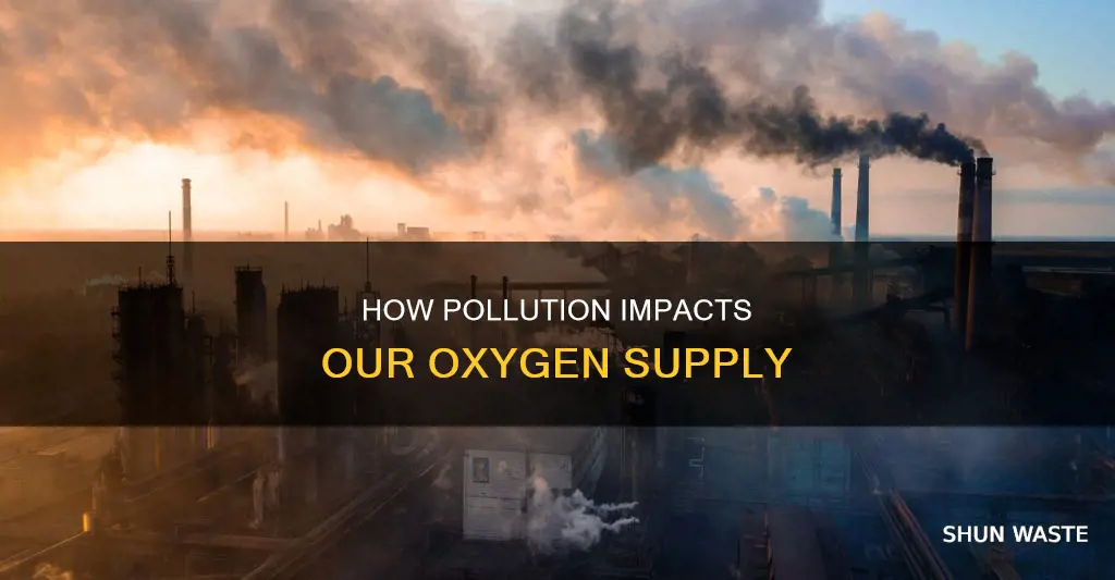 does environment pollutance effect oxygen