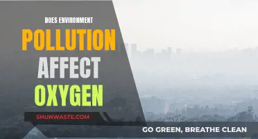 How Pollution Impacts the Air We Breathe