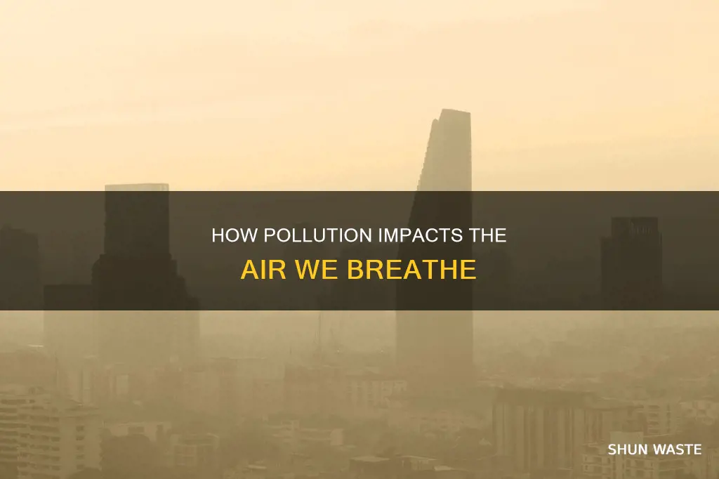 does environment pollution affect oxygen