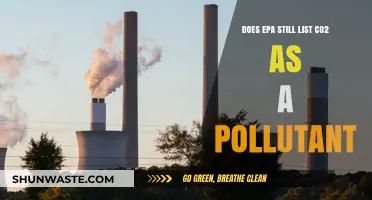 EPA's Stance on Carbon Dioxide: A Pollutant or Not?