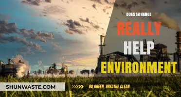Ethanol's Environmental Impact: Myth or Sustainable Solution?