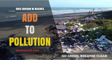 Beach Erosion: Pollution's Unseen Impact