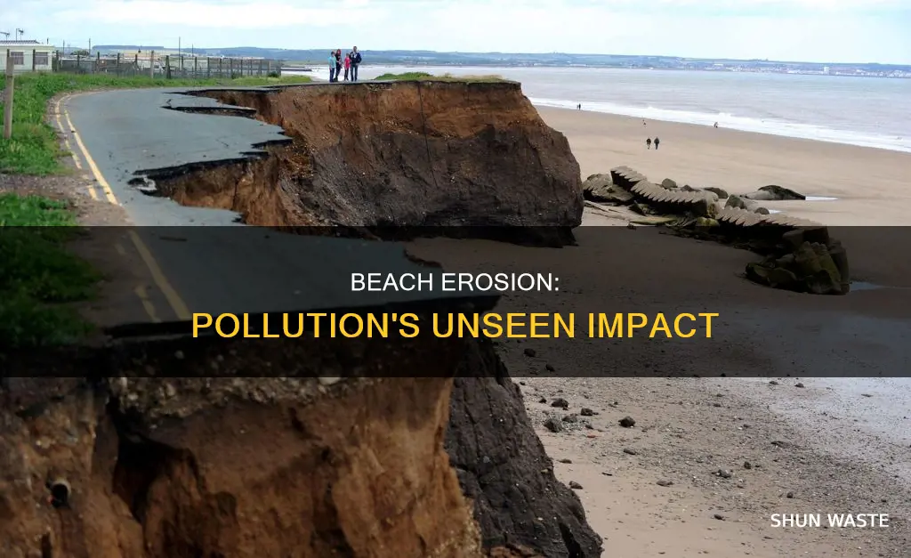 does erosion in beaches add to pollution