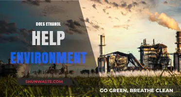 Ethanol's Environmental Impact: Sustainable Solution or Greenwashed Myth?