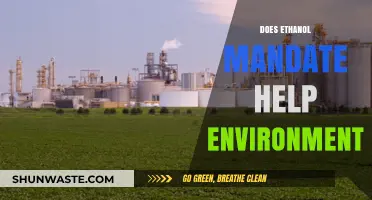 Ethanol Mandate: Environmental Savior or Greenwashing Policy?