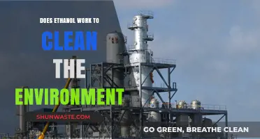 Ethanol's Environmental Impact: A Sustainable Cleaning Solution or Myth?