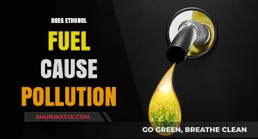 Ethanol Fuel: Friend or Foe in the Fight Against Pollution?