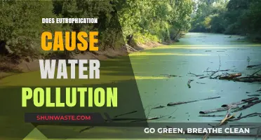 Eutrophication: A Hidden Cause of Water Pollution?