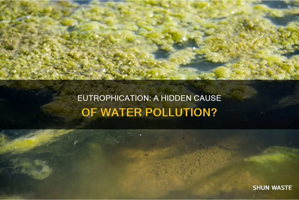 does eutrophication cause water pollution