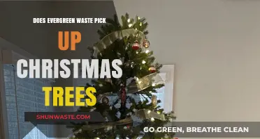 Evergreen Waste Christmas Tree Pickup: What You Need to Know
