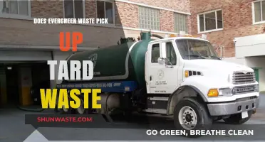 Evergreen Waste: Does It Handle Tard Waste Pick-Up?